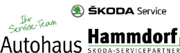 Hammdorf Logo Service 250